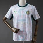 Senegal 2026 Home Mens Jersey Fan version